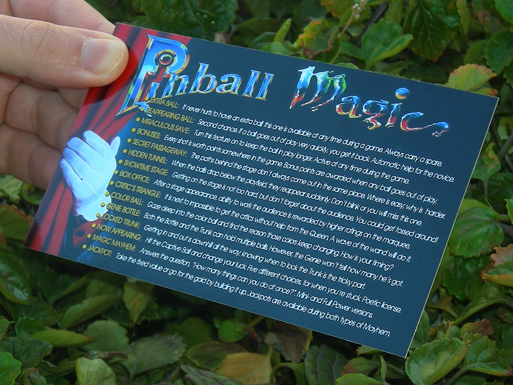 Pinball Magic Custom Pinball Card Rules print2