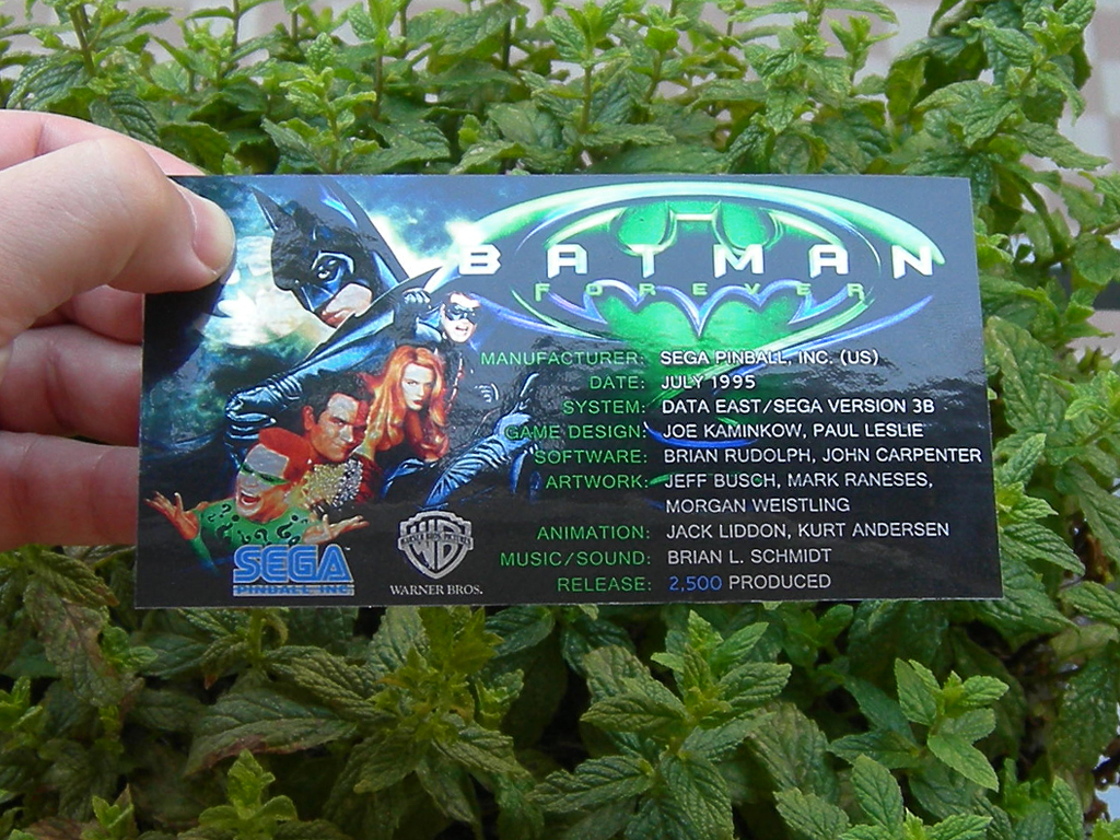 Batman Forever Custom Pinball Card - Crew print1