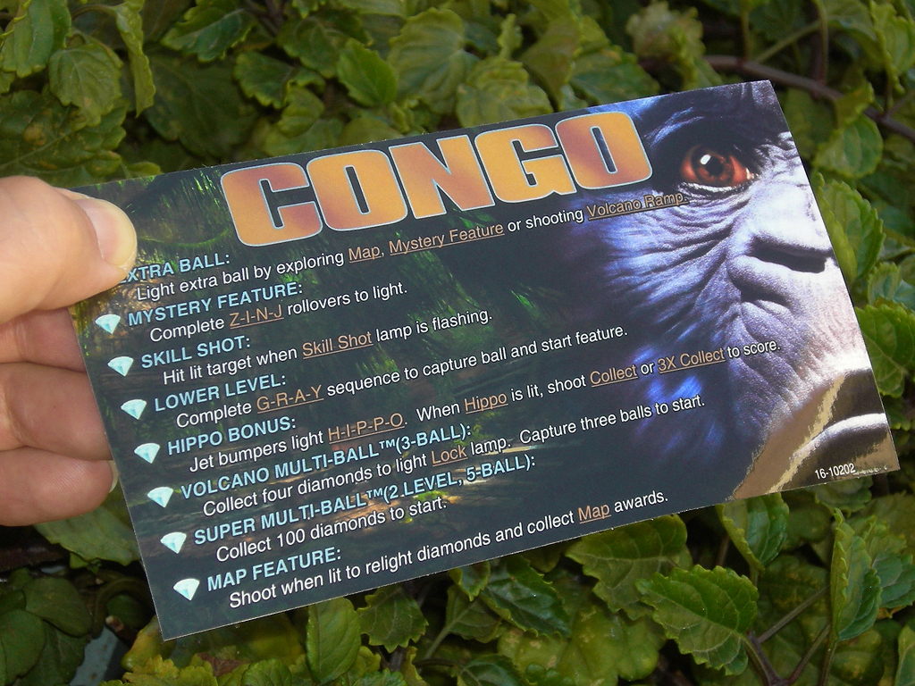 Congo Custom%20Pinball%20Card%20-%20rules.%20print2