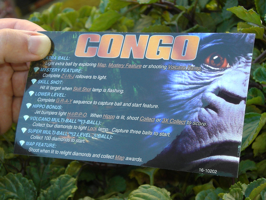 Congo Custom%20Pinball%20Card%20-%20rules.%20print3