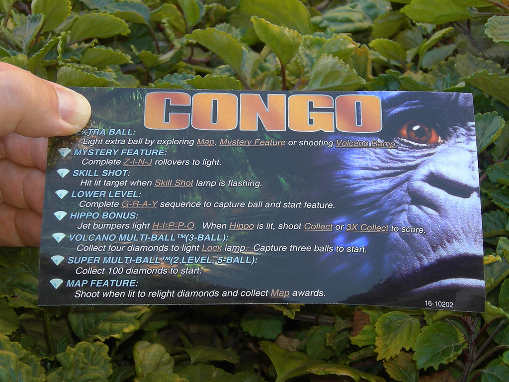 Congo Custom%20Pinball%20Card%20-%20rules.%20print1