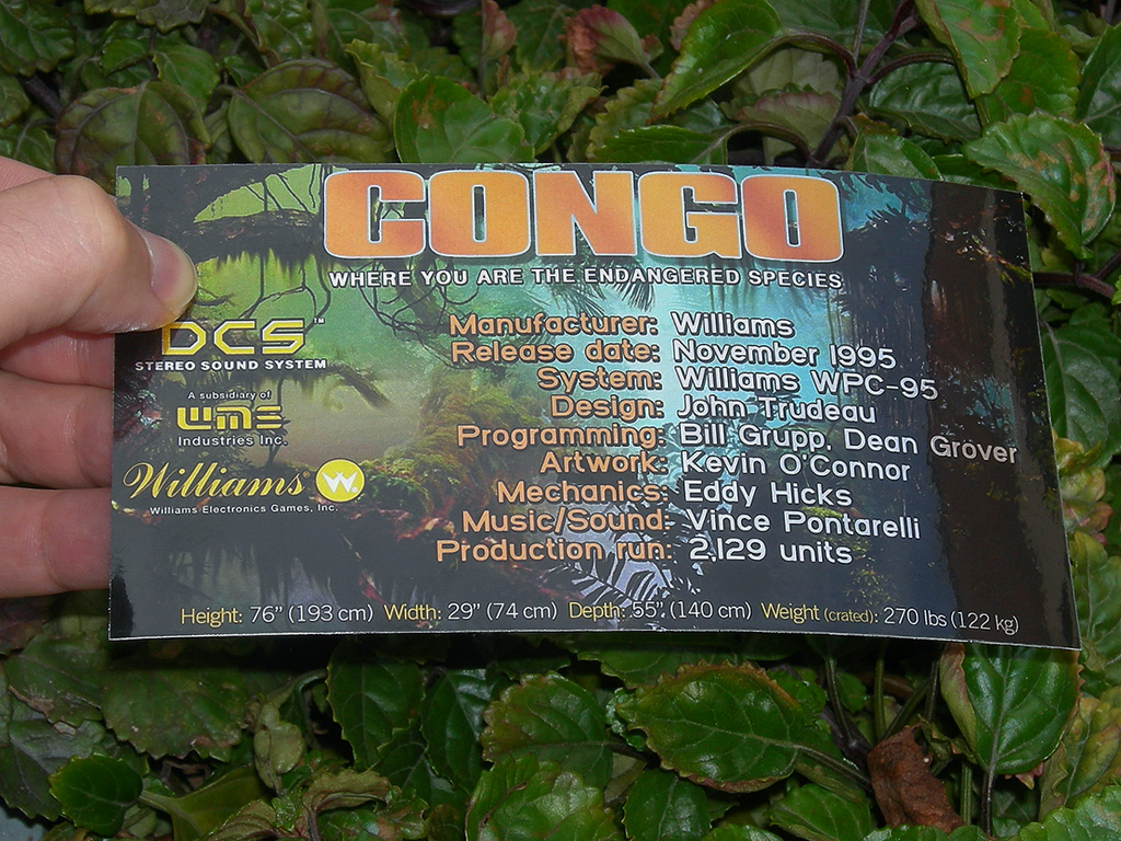 Congo Custom Pinball Cards Crew2 print1