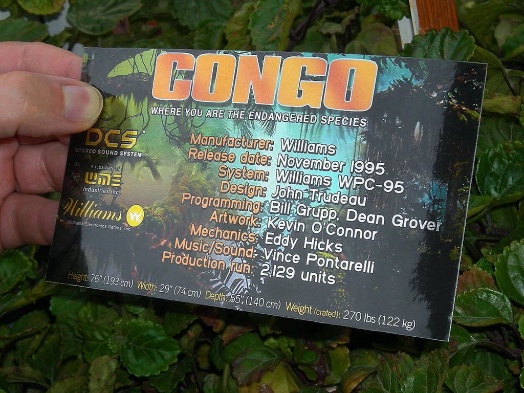 Congo Custom Pinball Cards Crew2 print2