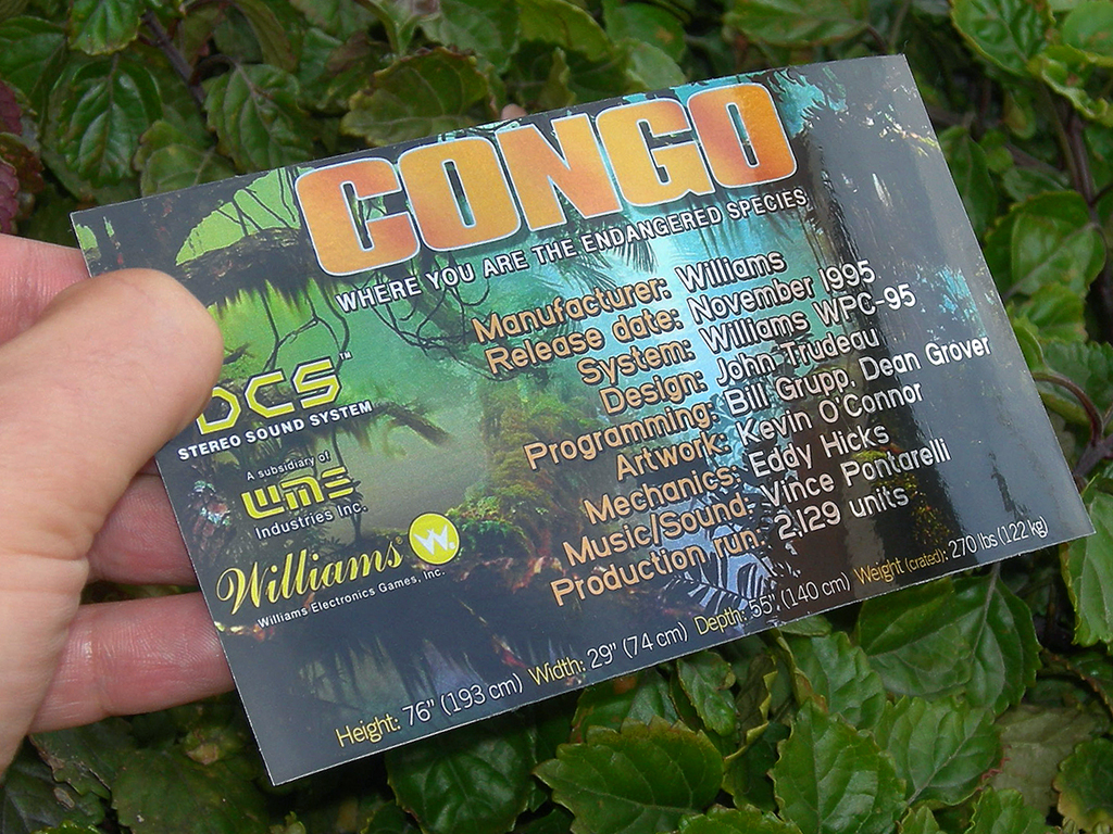 Congo Custom Pinball Cards Crew2 print3