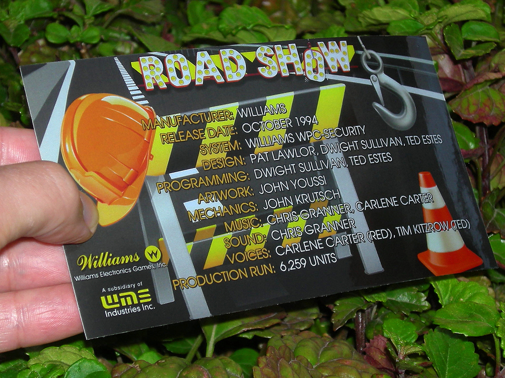 Road%20Show%20Pinball%20Custom%20Cards%20-%20Free%20Play%20print3c.JPG
