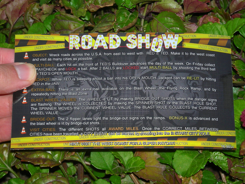 Road%20Show%20Pinball%20Custom%20Cards%20-%20Instructions%20print1c.JPG