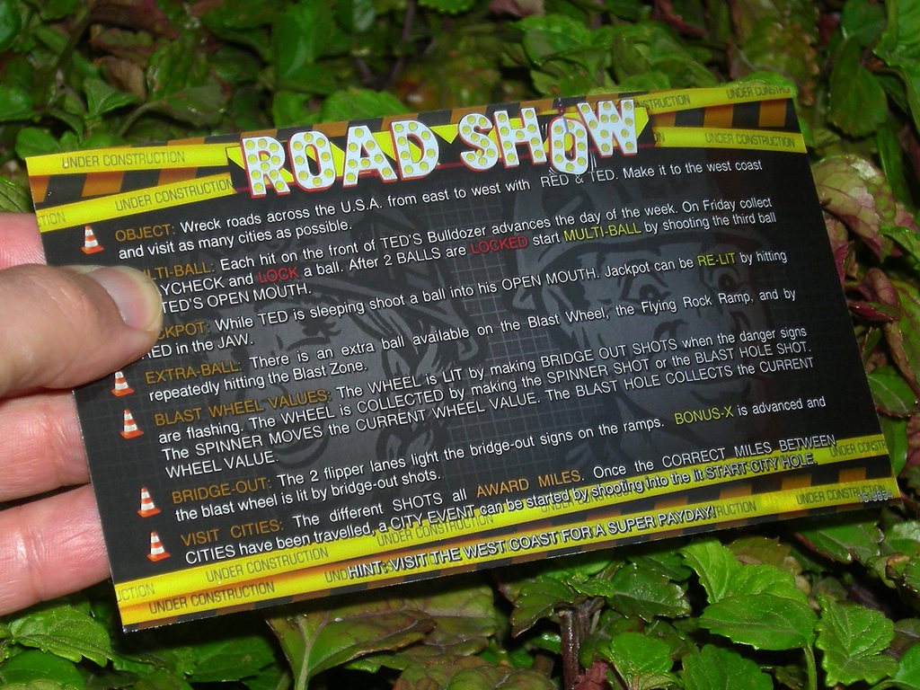 Road%20Show%20Pinball%20Custom%20Cards%20-%20Instructions%20print3c.JPG