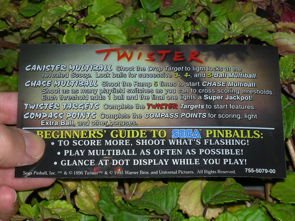 Twister Custom Pinball Card Rules print1c