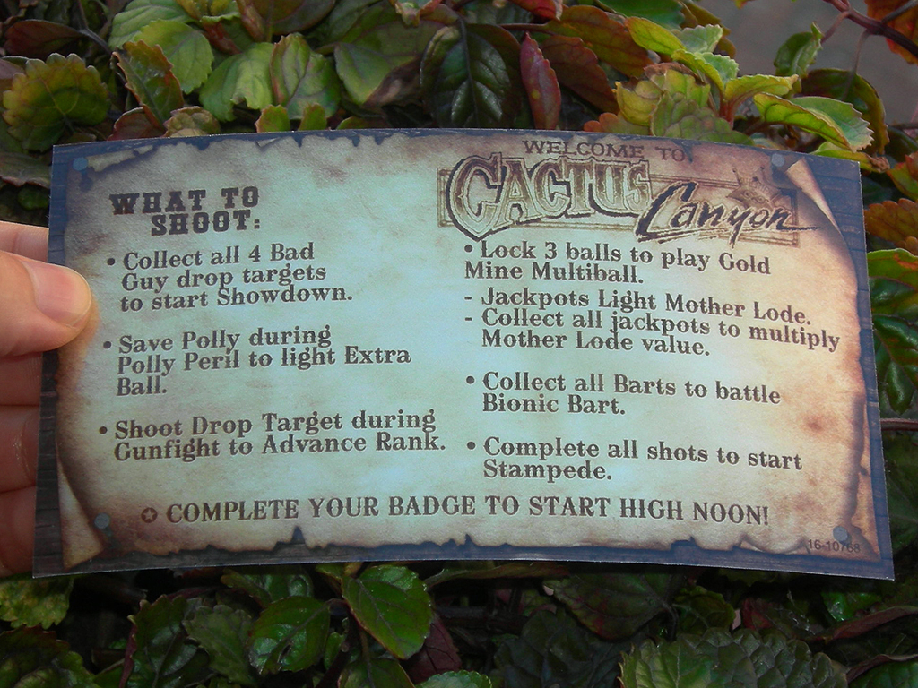 Cactus Canyon Custom Pinball Card Rules print1c