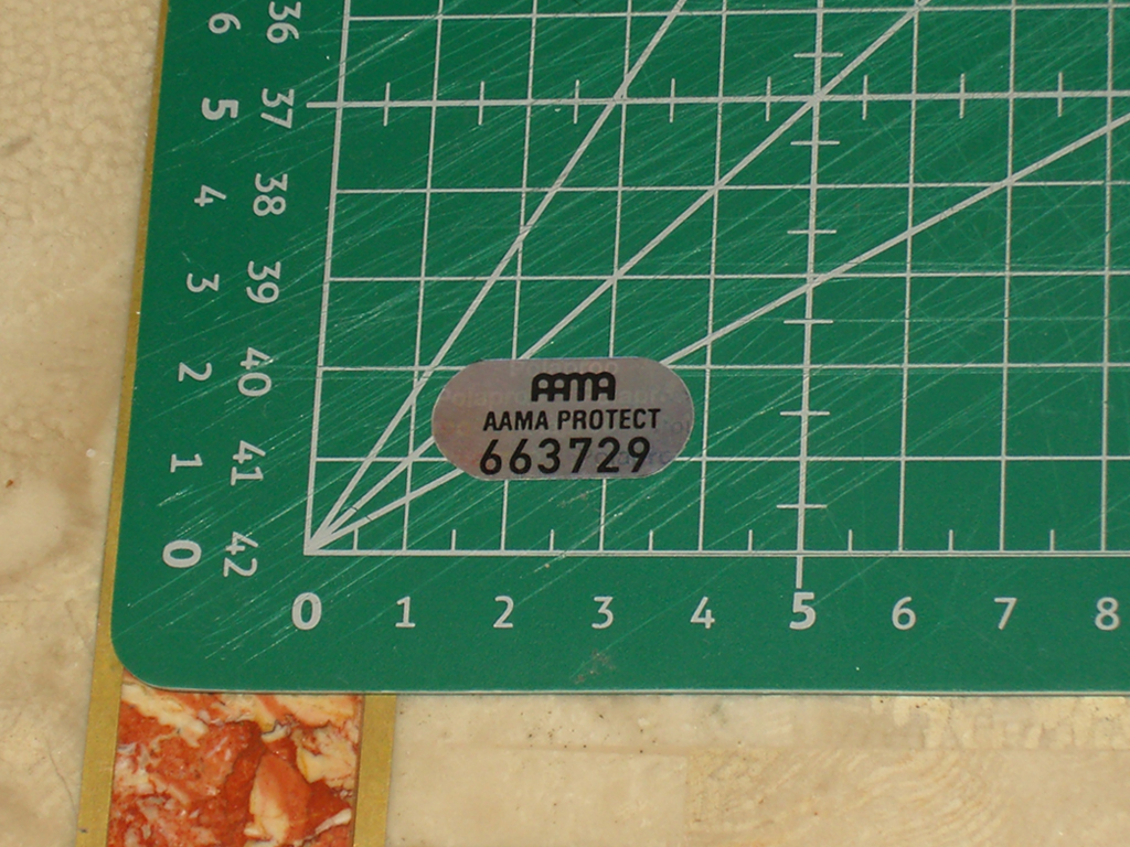 AAMA-CPS2-Holographic-Stickers-print1