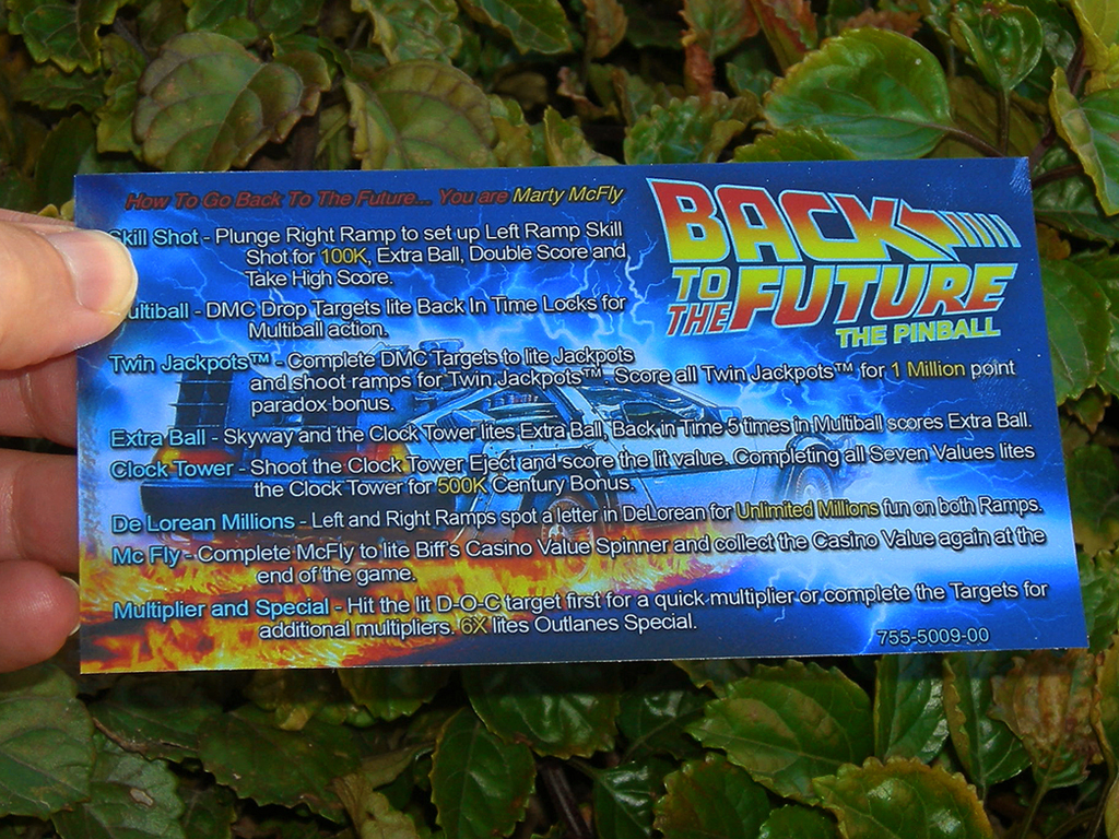 Back to The Future%20Custom%20Pinball%20card%20-%20Rules%20print1