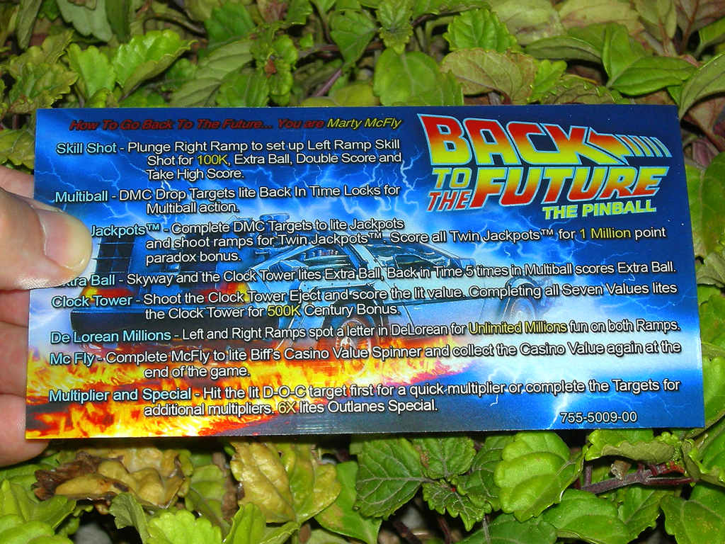 Back to The Future Custom Pinball Card - Rules print1c