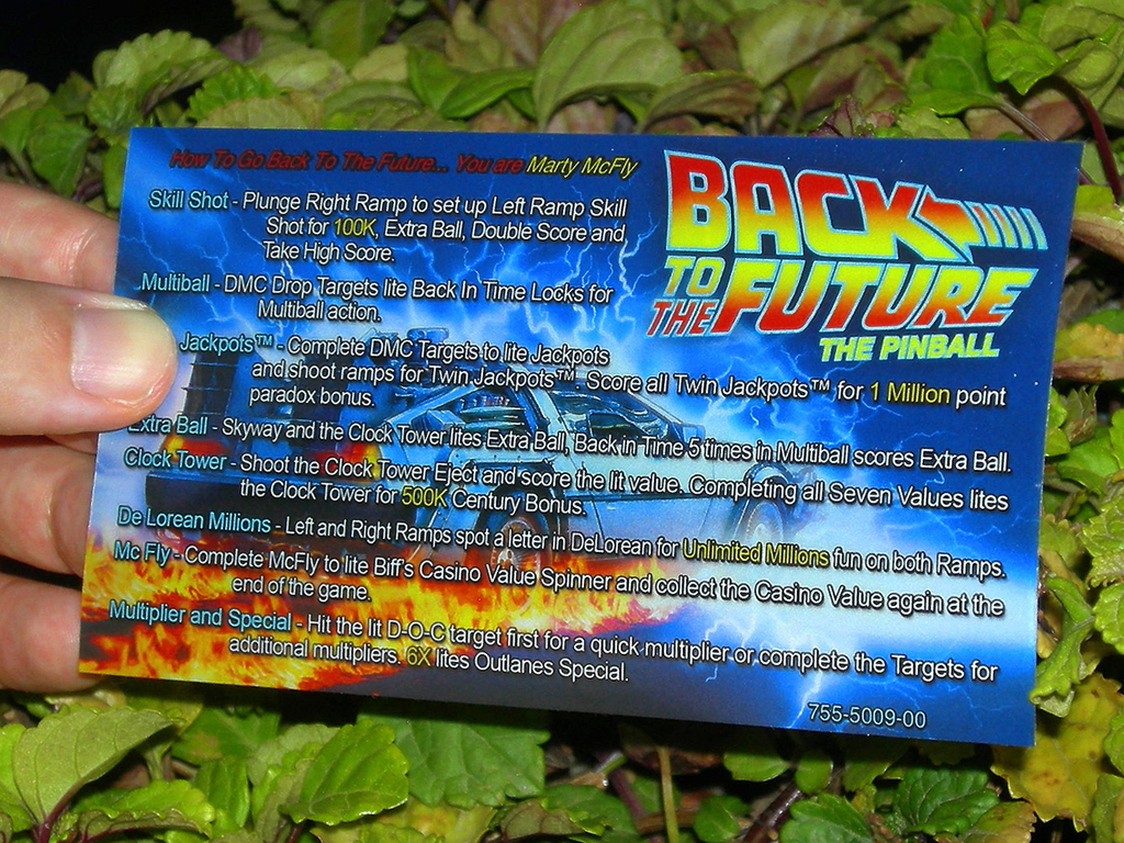 Back to The Future Custom Pinball Card - Rules print2c