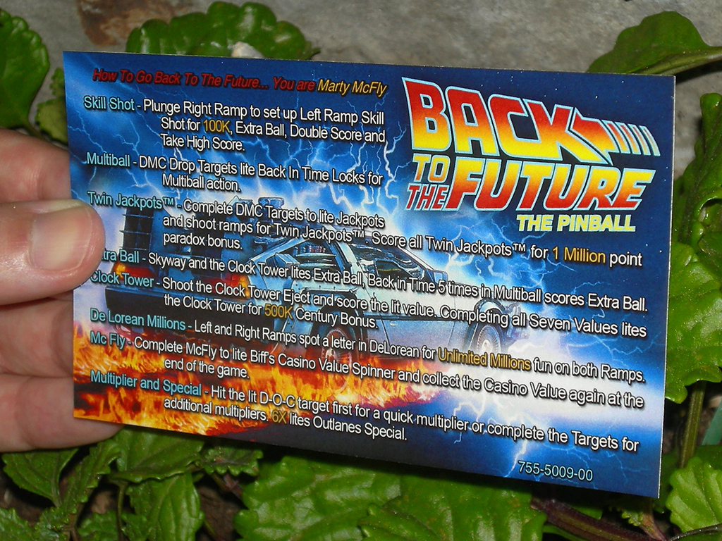 Back-To-The-Future-Custom-Pinball-Card-Rules3-print2a