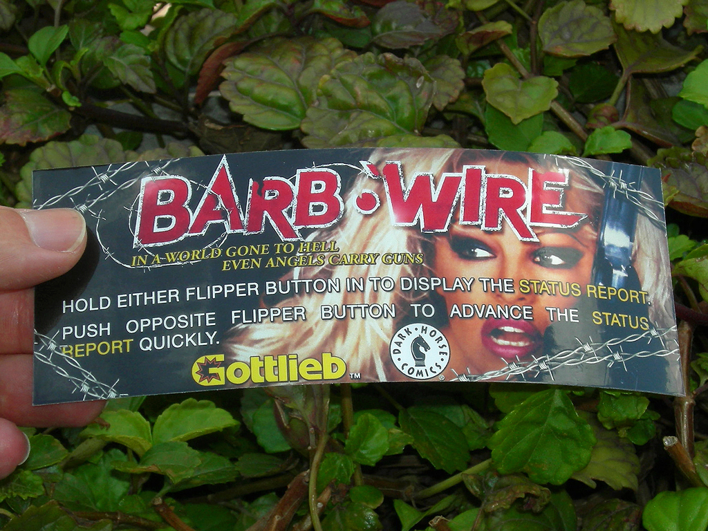 Barb Wire Pinball Card Customized Score print1c