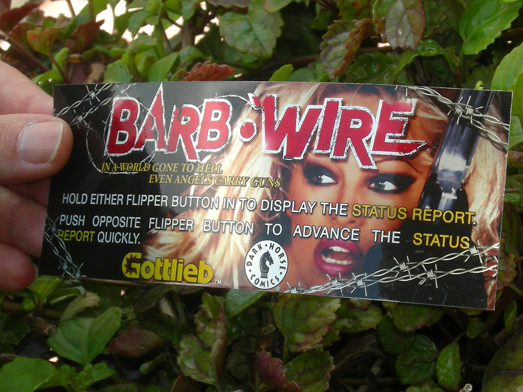 Barb Wire Pinball Card Customized Score print2c