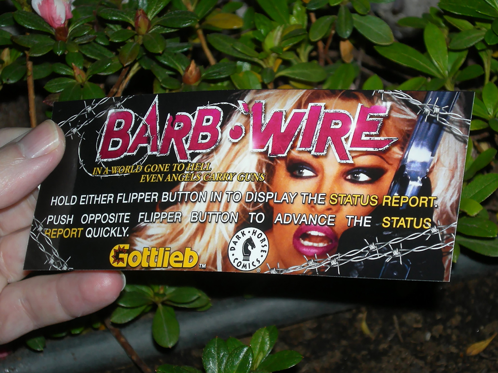 Barb-Wire-Custom-Pinball-Card-Score-print2a