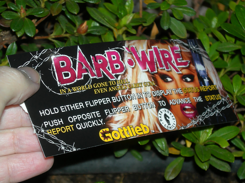 Barb-Wire-Custom-Pinball-Card-Score-print3a