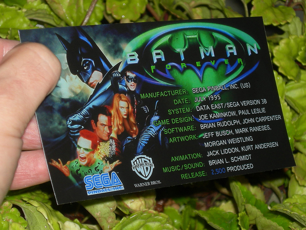 Batman Forever Custom Pinball Crew print3c