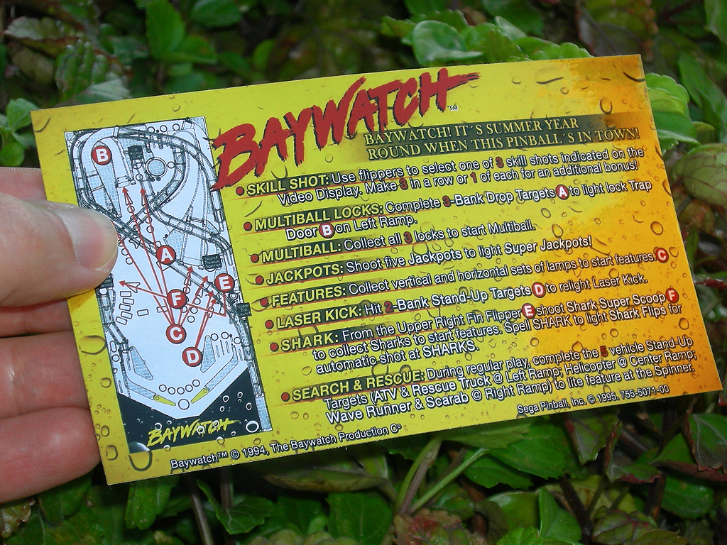 Baywatch Pinball Card Customized Rules print3