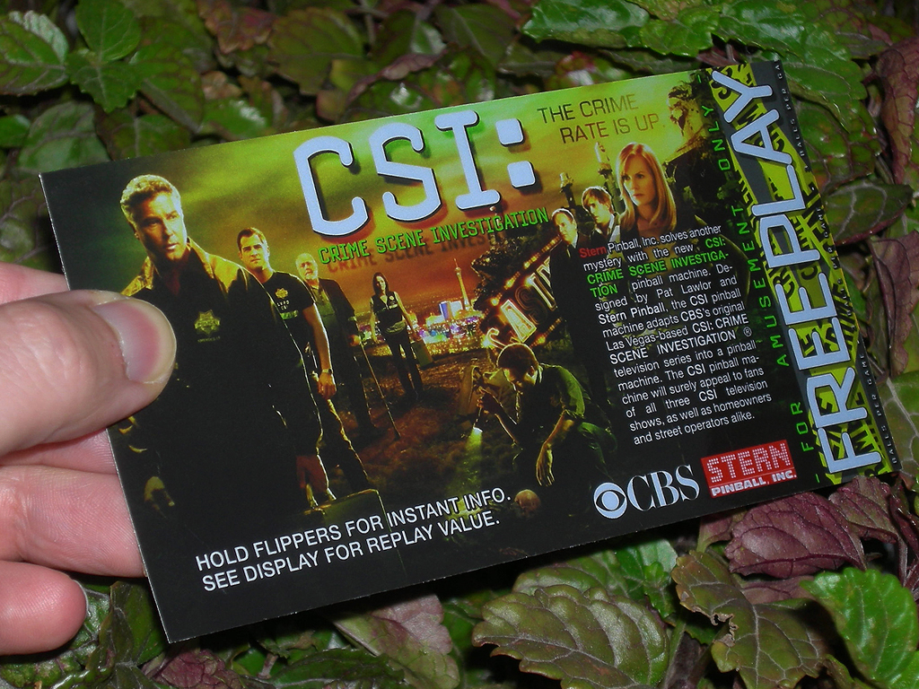 CSI Pinball Card Customized Free Play print3c