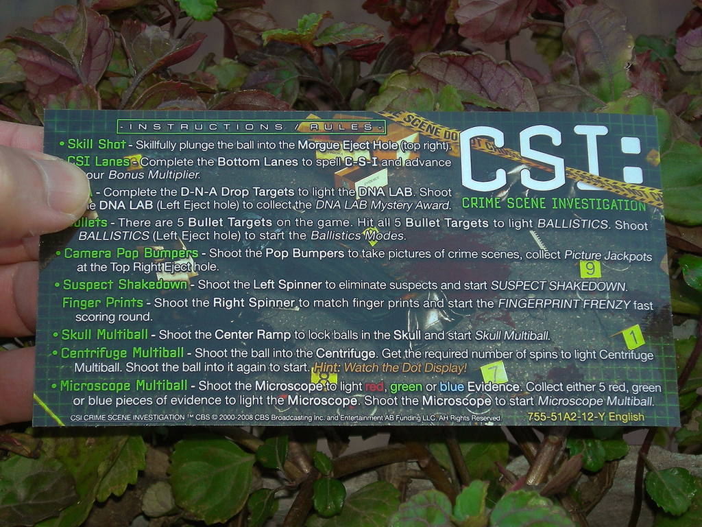 CSI Pinball Card Customized Free Play print1c