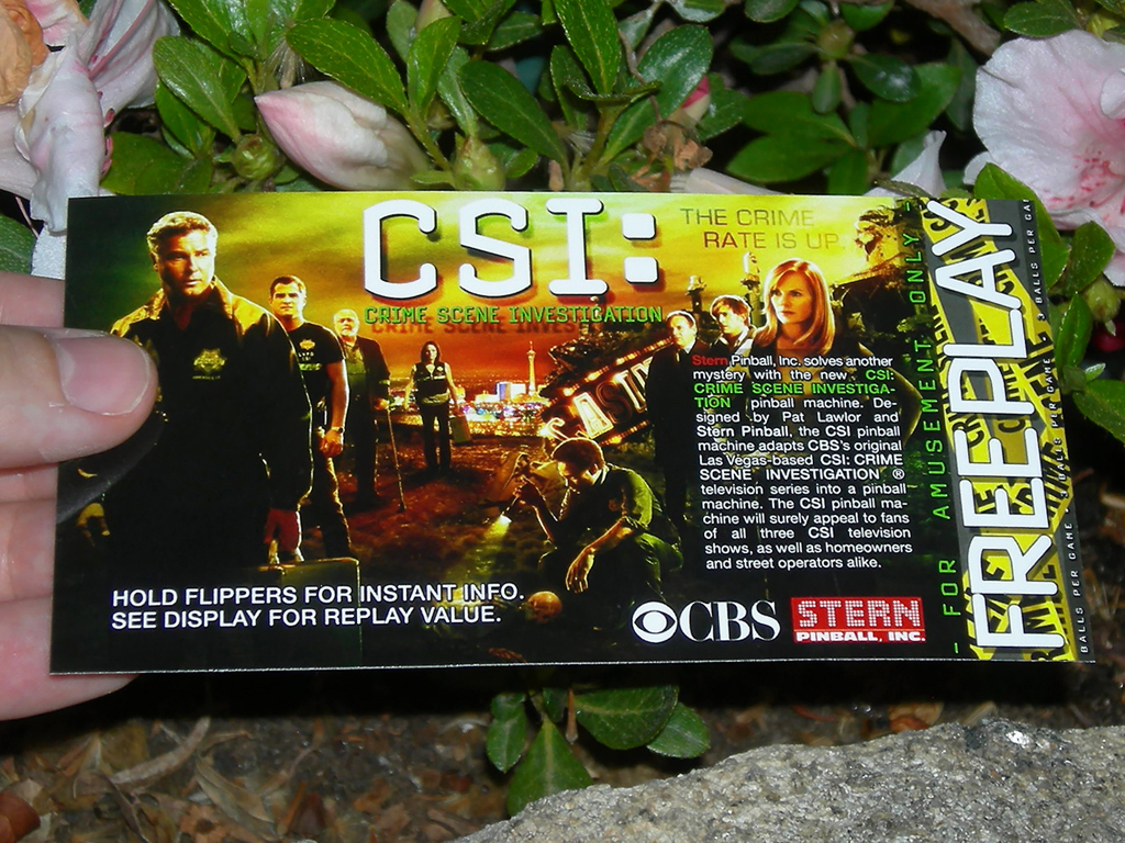 CSI-Custom-Pinball-Card-Free-Play-print1a