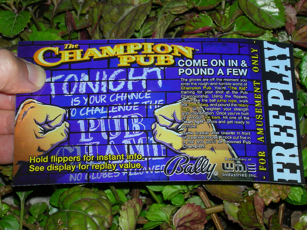 Champion Pub Pinball Card Customized Free Play print1c