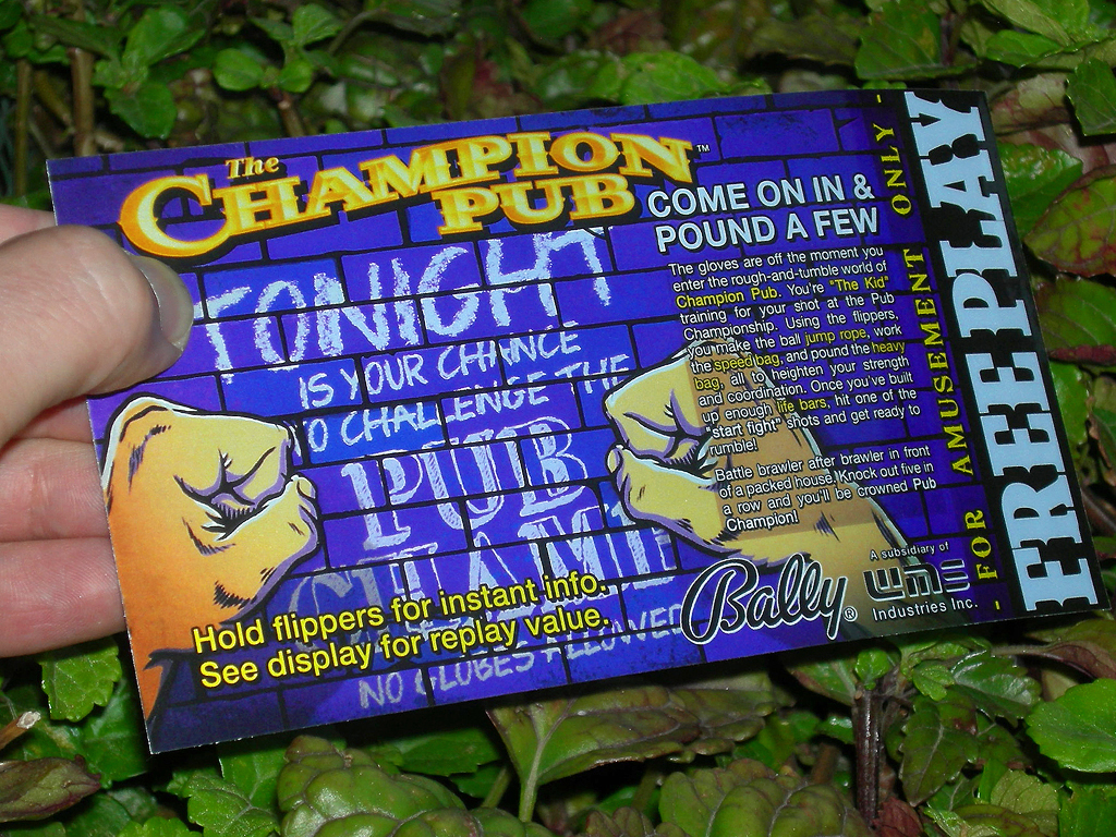 Champion Pub Pinball Card Customized Free Play print3c