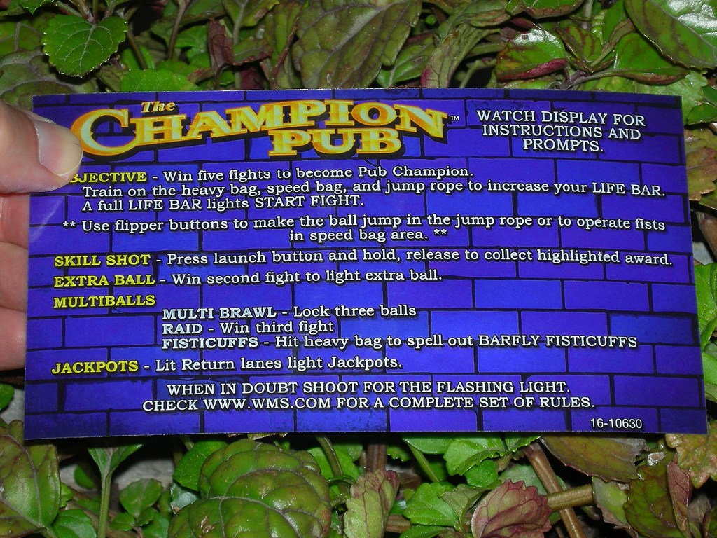 Champion Pub Pinball Card Customized Rules print1c