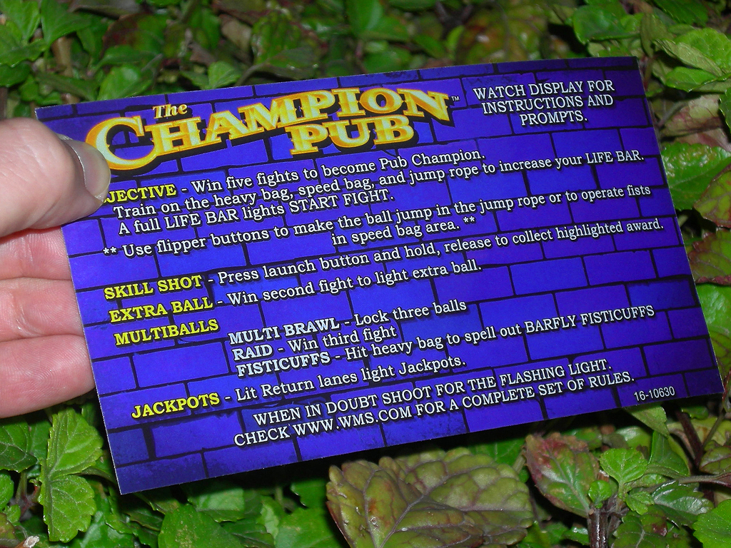 Champion Pub Pinball Card Customized Rules print3c