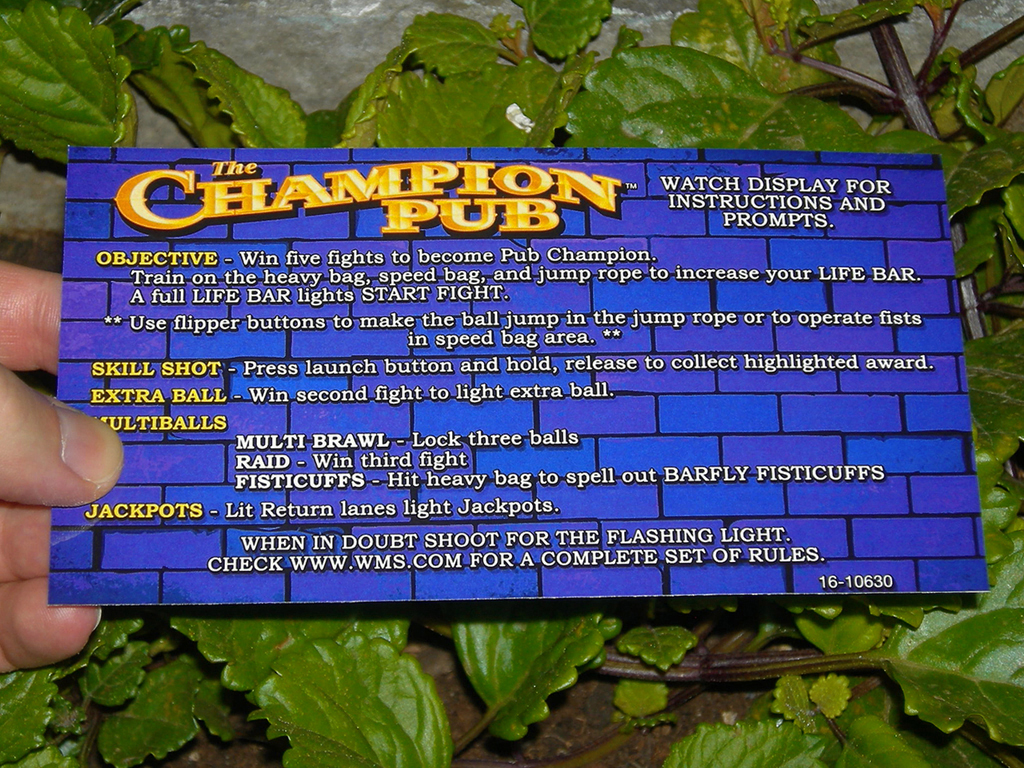 Champion-Pub-Pinball-Card-Customized-Rules-print1a