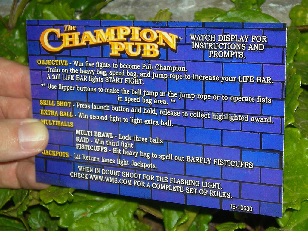 Champion-Pub-Pinball-Card-Customized-Rules-print2a