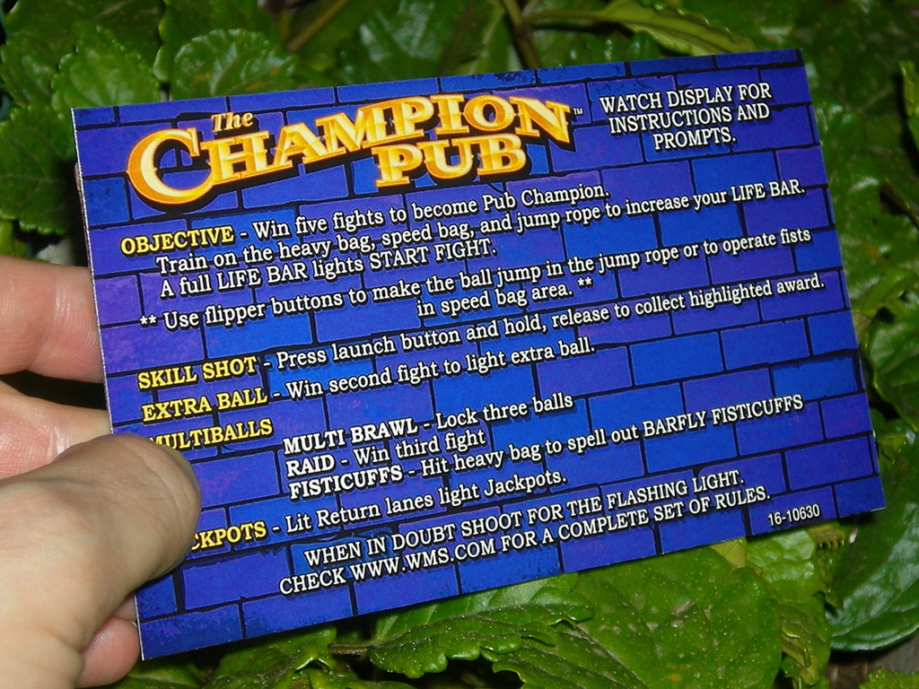 Champion-Pub-Pinball-Card-Customized-Rules-print3a