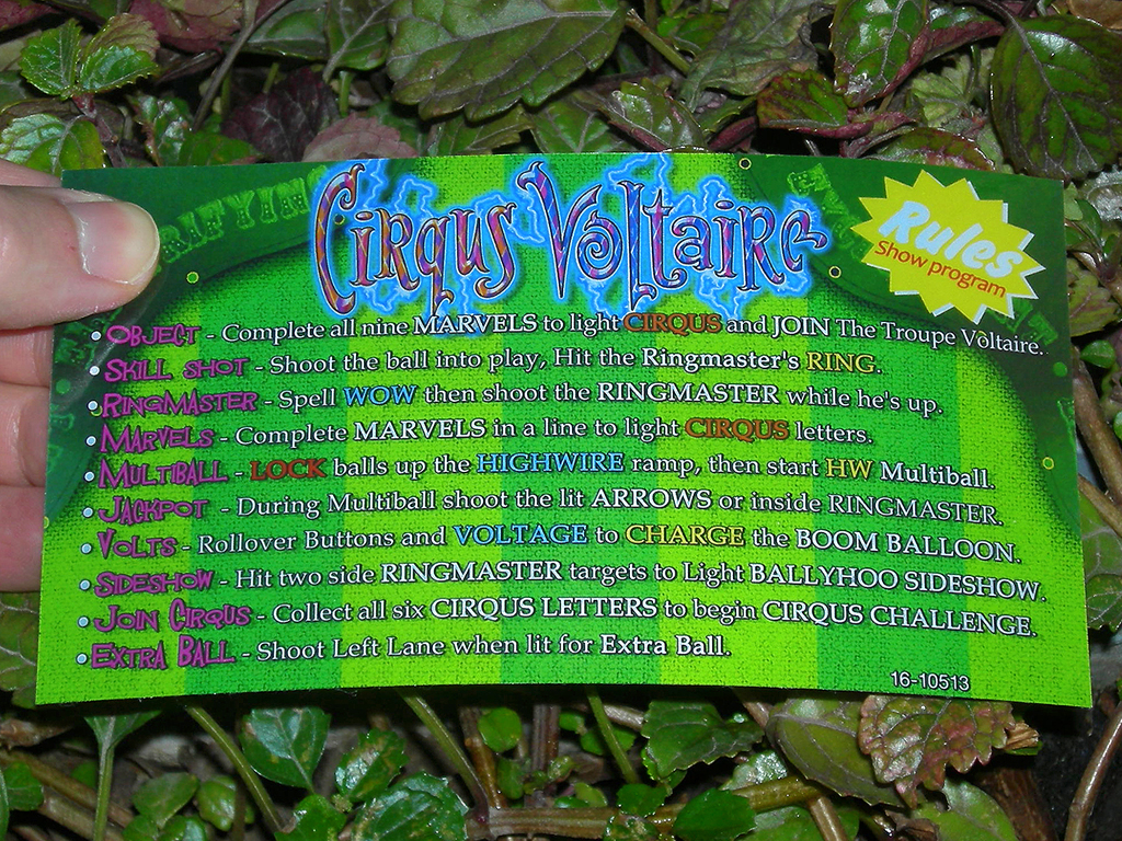 Circus%20Voltaire%20Custom%20Pinball%20Card%20Rules2%20print1c.jpg