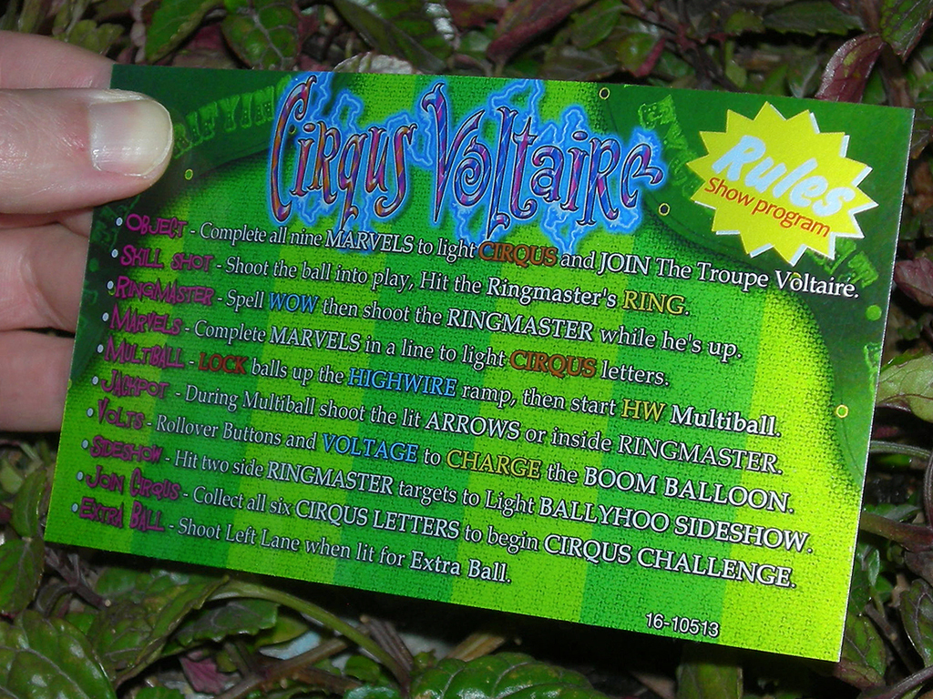 Circus%20Voltaire%20Custom%20Pinball%20Card%20Rules2%20print2c.jpg