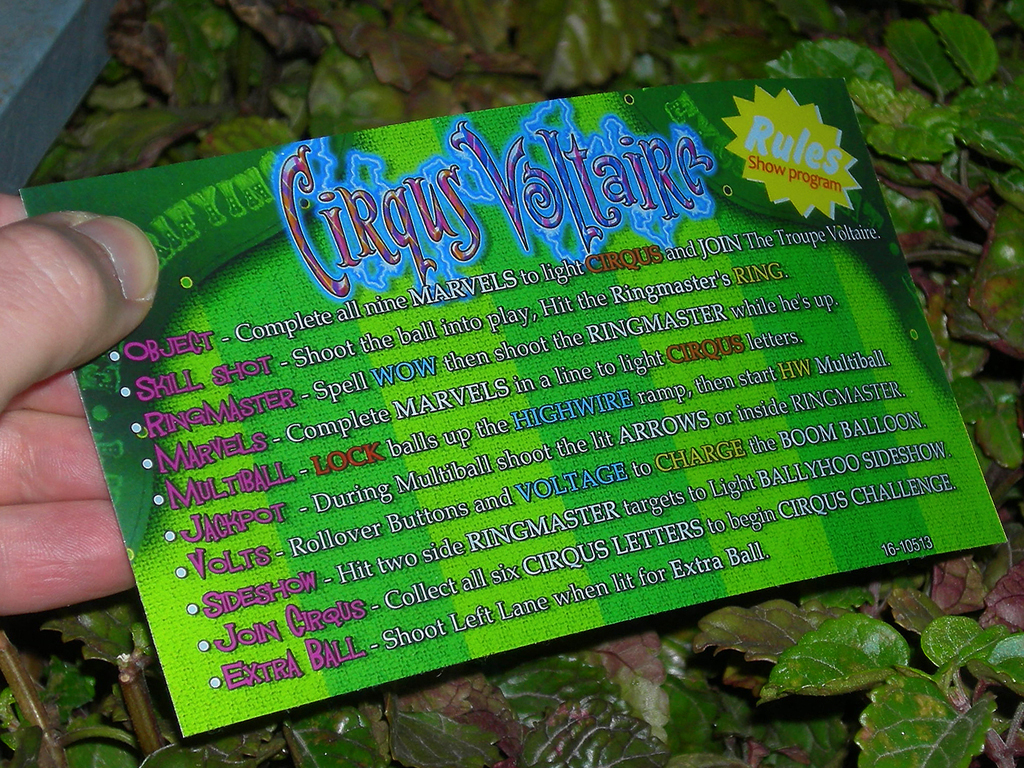 Circus%20Voltaire%20Custom%20Pinball%20Card%20Rules3%20print3c.jpg