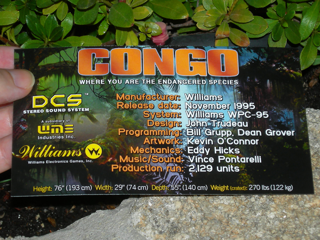 Congo-Custom-Pinball-Card-Crew2-print1a
