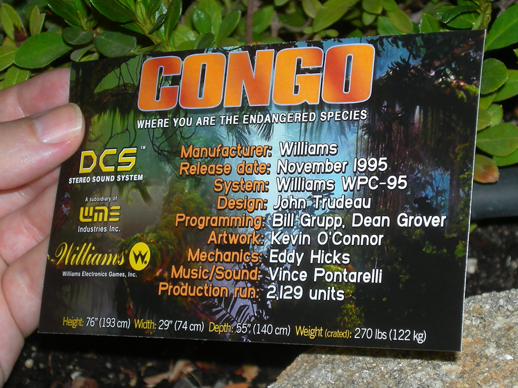 Congo-Custom-Pinball-Card-Crew2-print2a