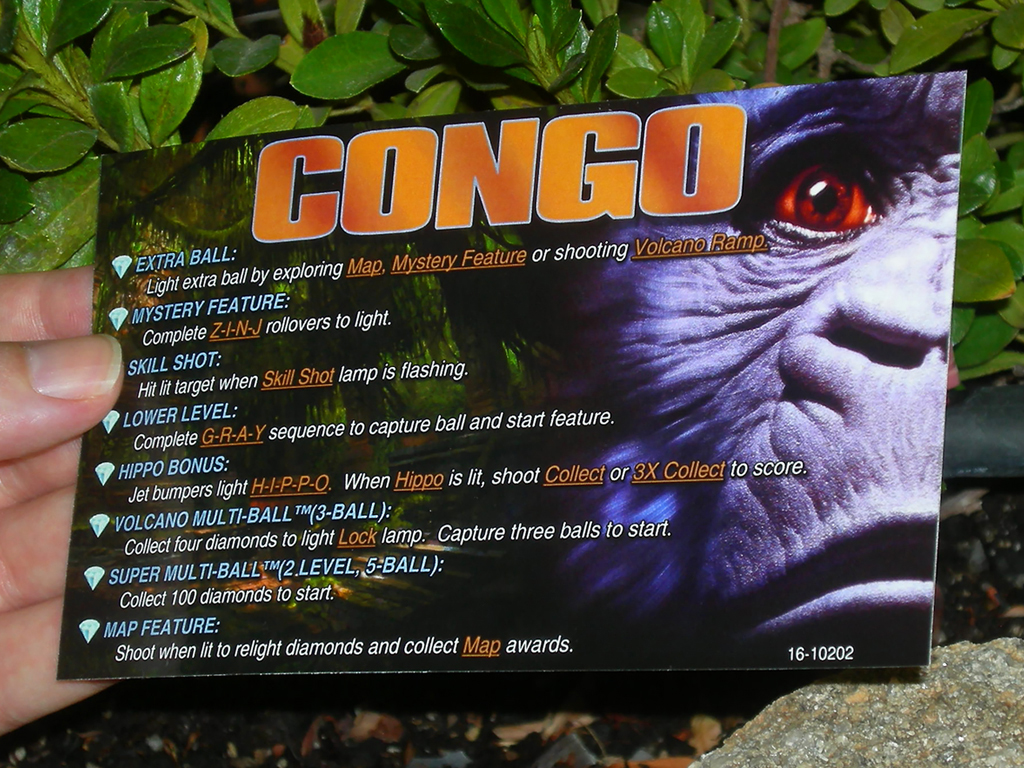 Congo-Custom-Pinball-Card-Rules-print2a