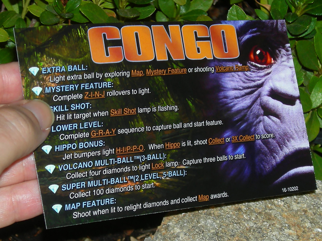 Congo-Custom-Pinball-Card-Rules-print3a
