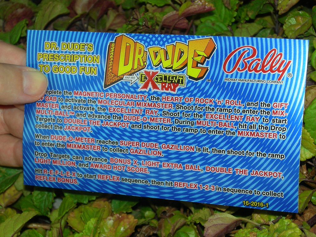 Dr. Dude Pinball Card Customized Rules2 print2c