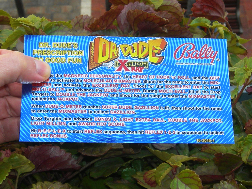 Dr. Dude Pinball Card Customized Rules2 print1