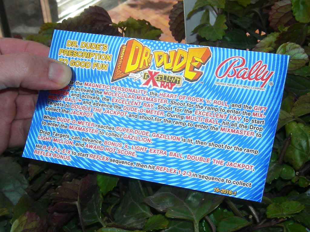 Dr. Dude Pinball Card Customized Rules2 print2