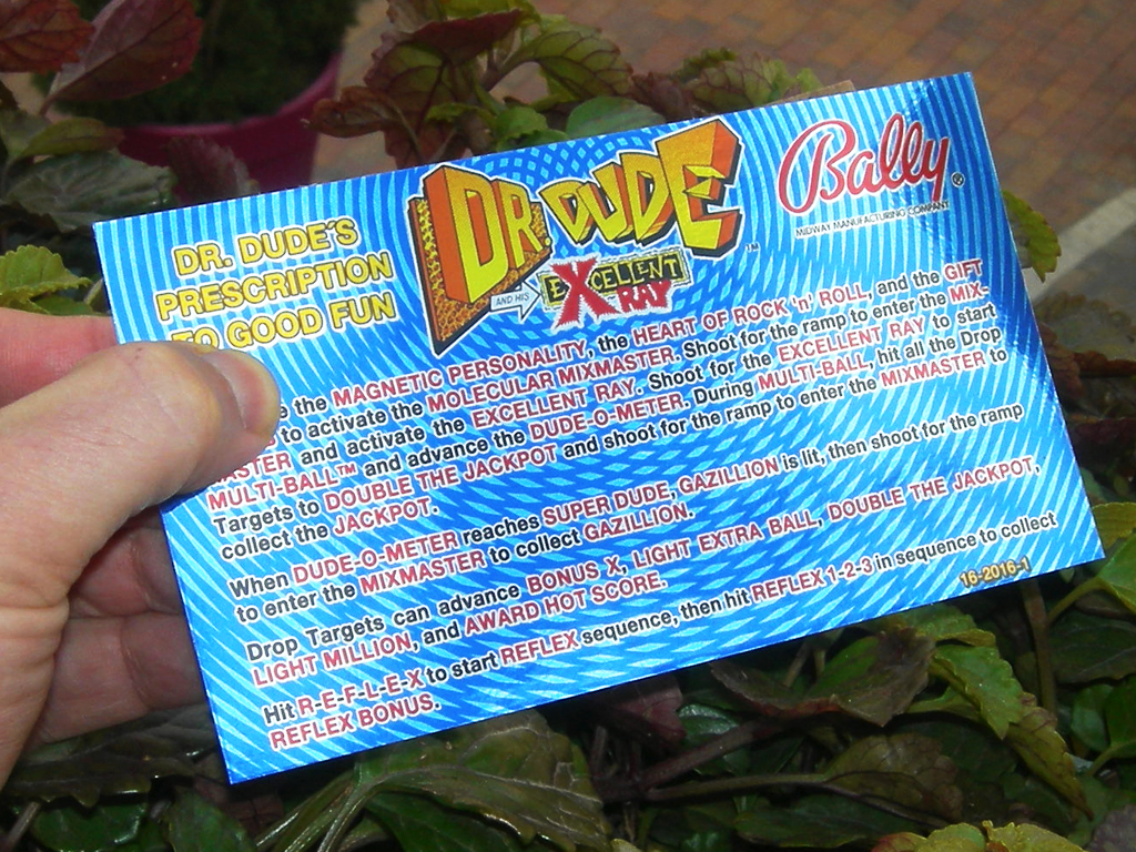 Dr. Dude Pinball Card Customized Rules2 print3