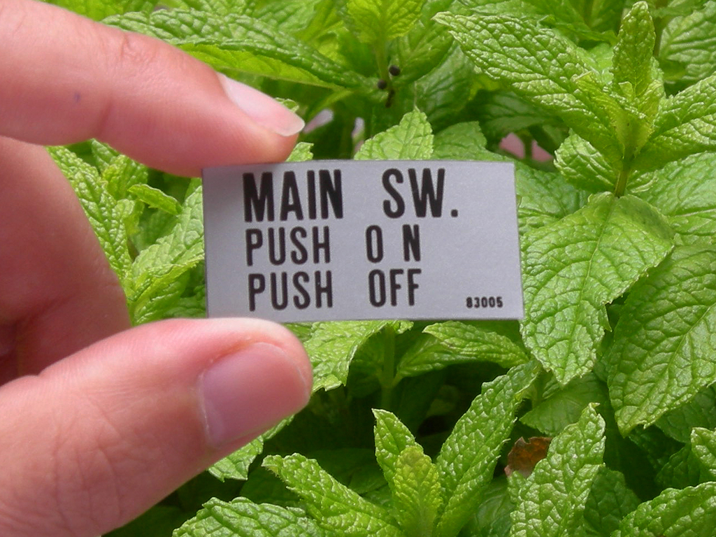 Enduro%20SEGA%20Switch%20&