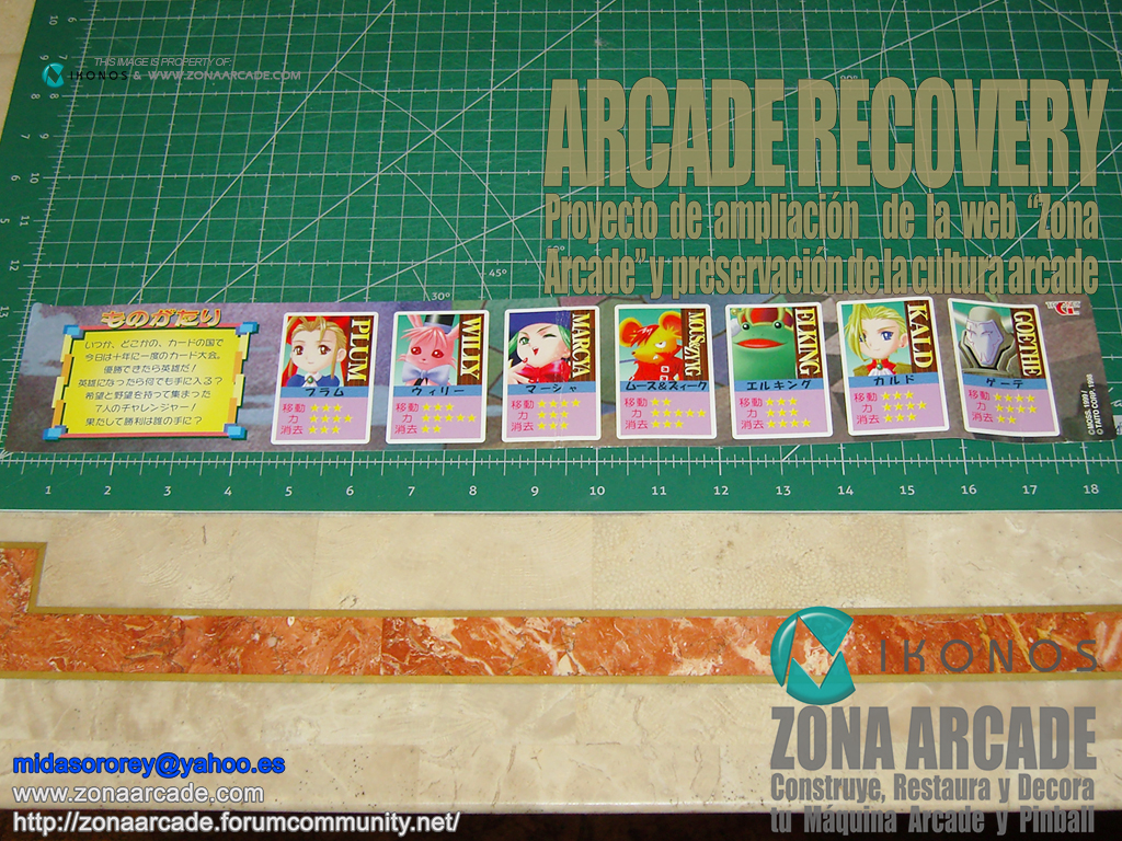 Flip-Maze-Instruction-Sheet-jap-Original1b