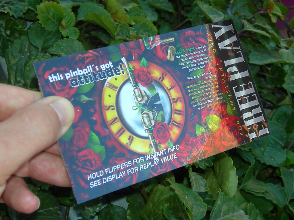 Guns and Roses Custom Pinball Card Free Play print3