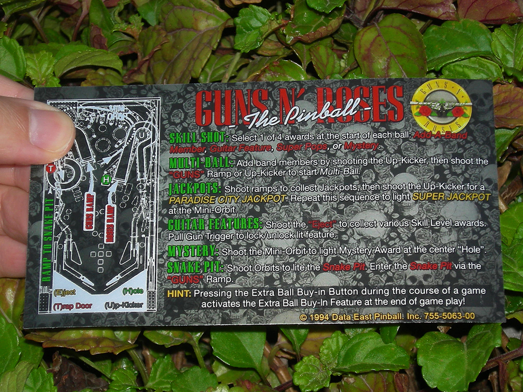 Guns and Roses Custom Pinball Card Rules print1c