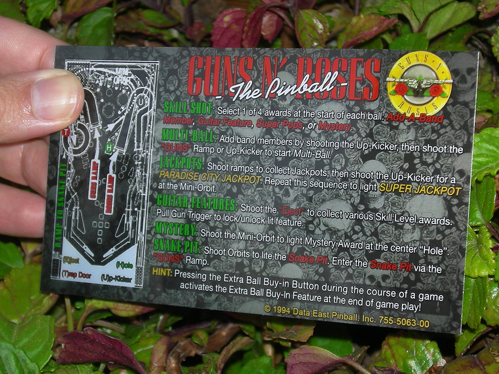 Guns and Roses Custom Pinball Card Rules print2c